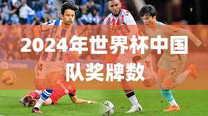 2024年世界杯中国队奖牌数