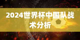 2024世界杯中国队战术分析