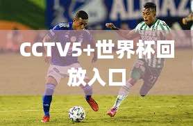 CCTV5+世界杯回放入口