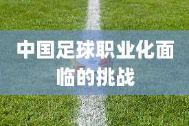 中国足球职业化面临的挑战